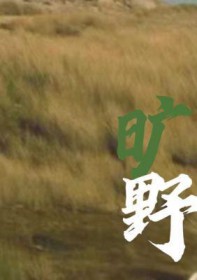 旷野42站的每站的讲解