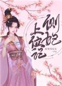 侧妃上位记类似小说